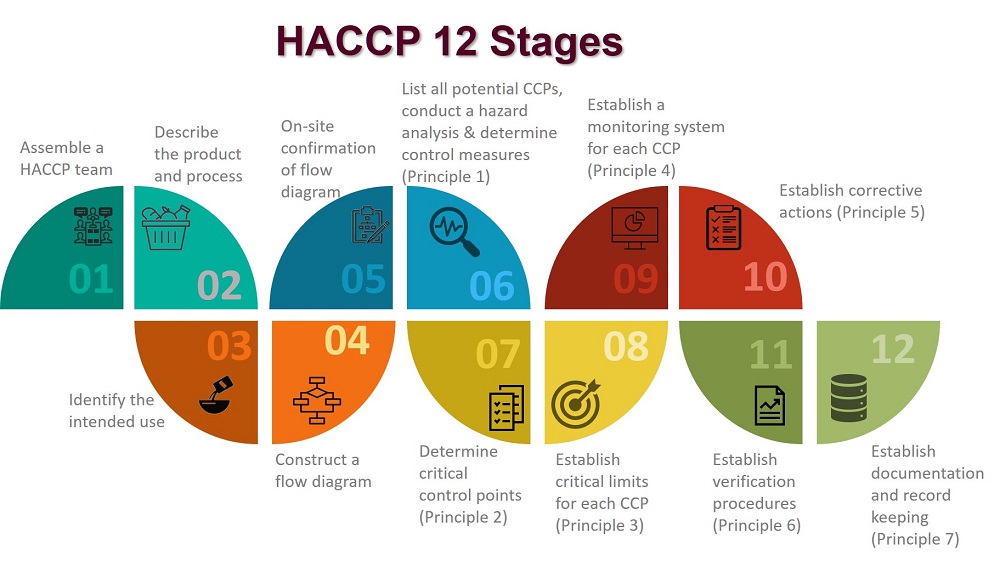 HACCP Stages